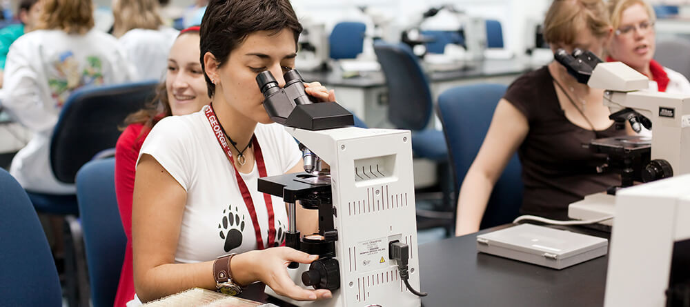 Research veterinarians